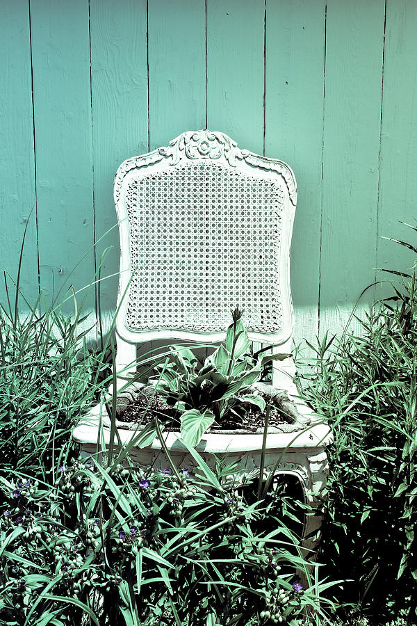 Flower Photograph - Garden Chair - Seafoam by Colleen Kammerer