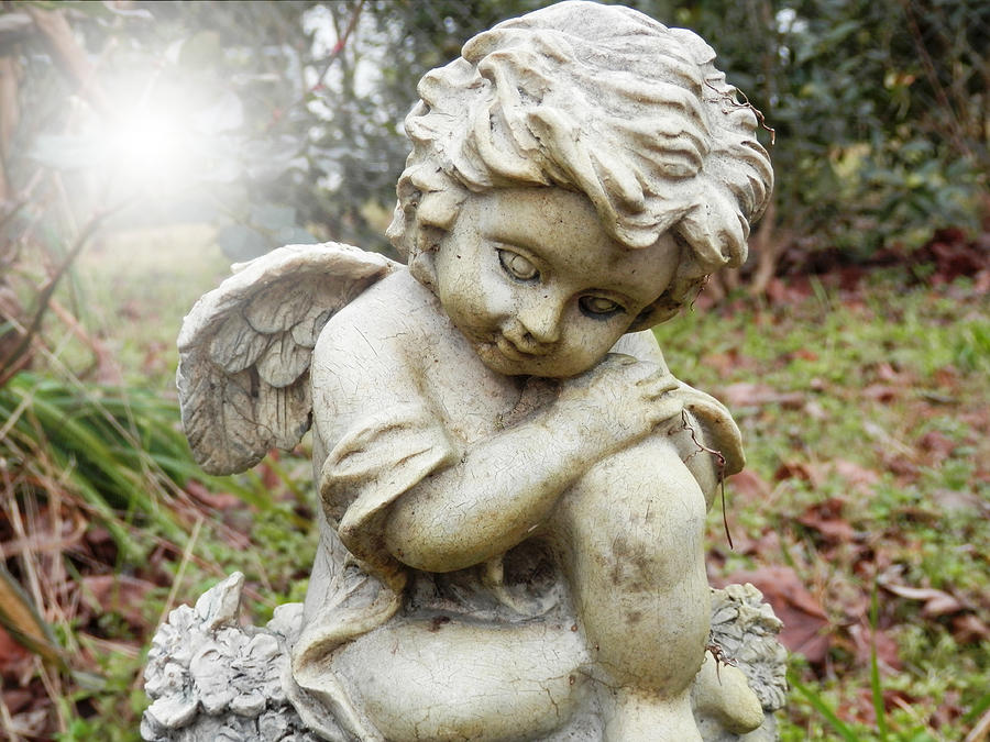 Spiritual Angel Garden Cherub Photograph by Belinda Lee