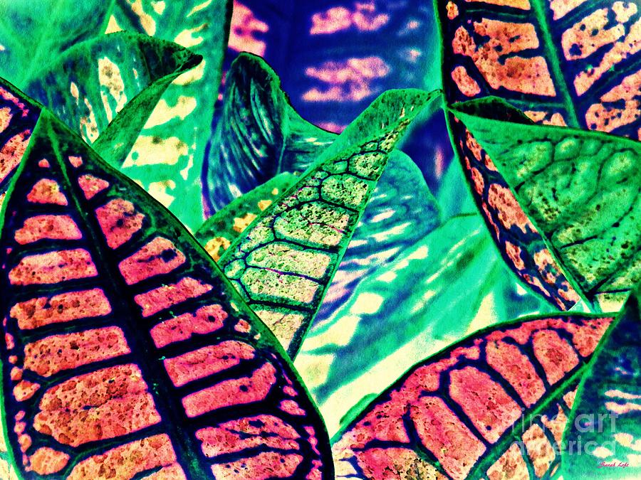 Nature Photograph - Garden Croton 3 Color Inversion by Sarah Loft
