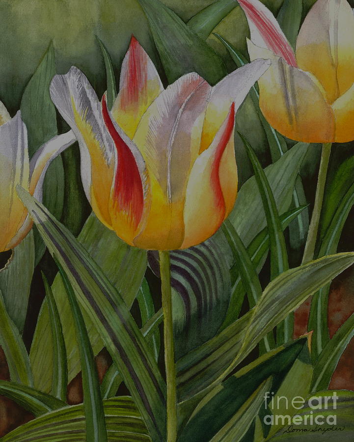 Tulip Painting - Garden Delights by Donna Snyder Tulip Painting - Garden Delights by Donna Snyder