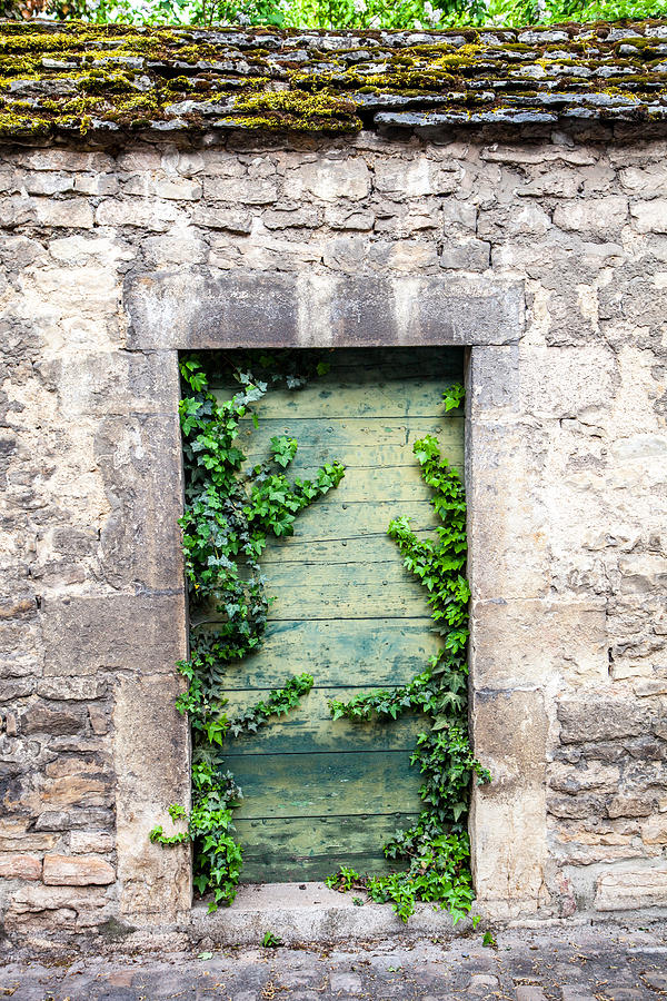 Garden Door in Beaune Photograph by W Chris Fooshee
