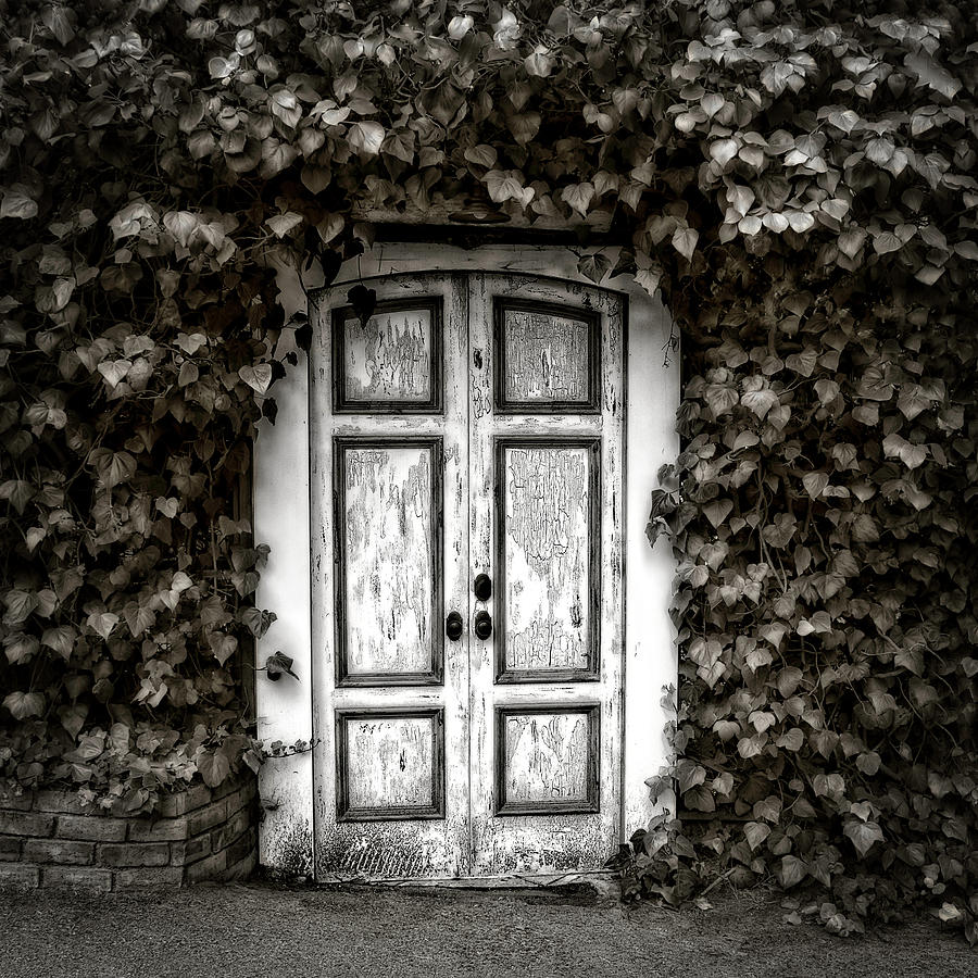 Garden Door Photograph by Jerry Golab