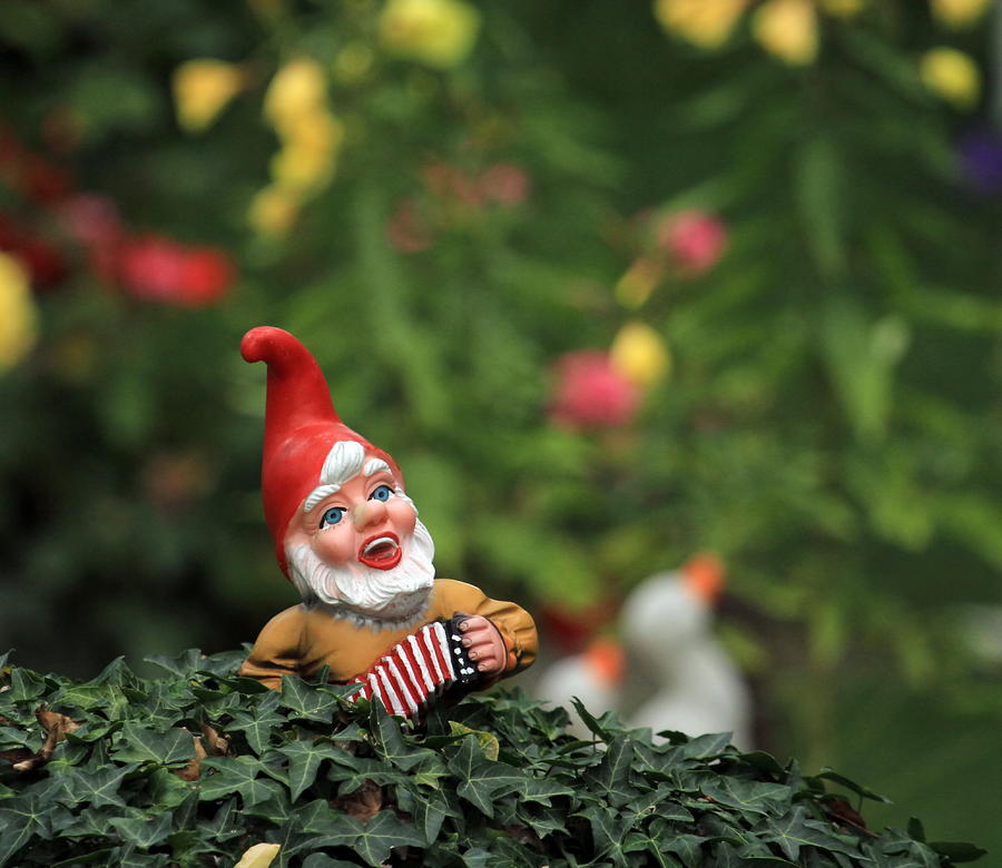 Garden dwarf or gnome Photograph by Elenarts - Elena Duvernay photo