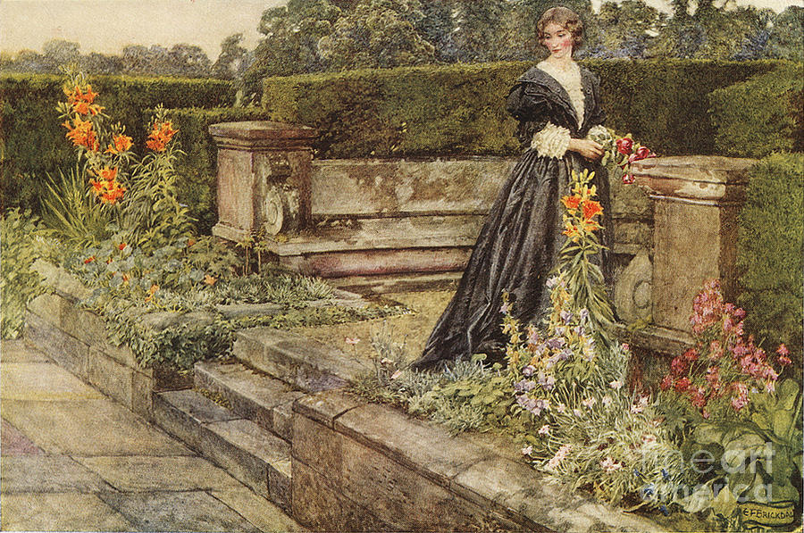 Garden Fancies The Flowers Name  Painting by Celestial Images