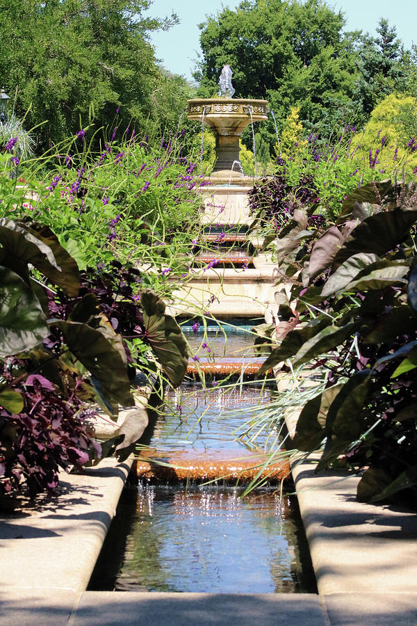 Garden Fountain Photograph by Captain Debbie Ritter Garden Fountain Photograph by Captain Debbie Ritter