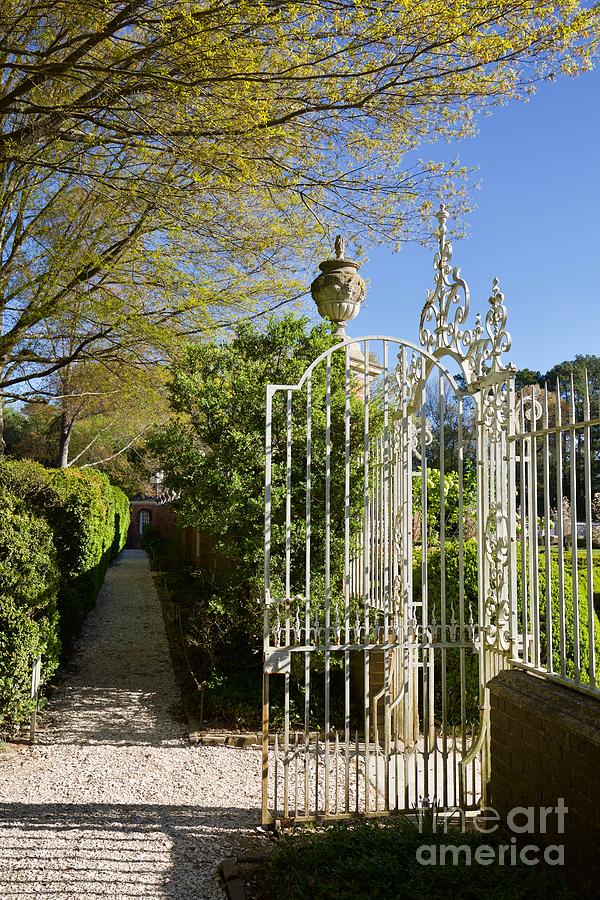 Garden Gate at the Governors Palace Photograph by Rachel Morrison