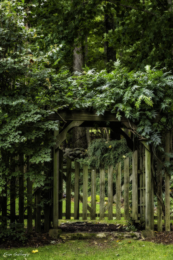 Garden Gate Photograph by Fran Gallogly