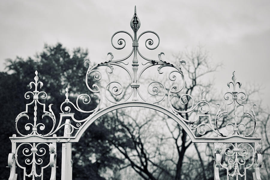 Garden Gate  Photograph by Lara Morrison