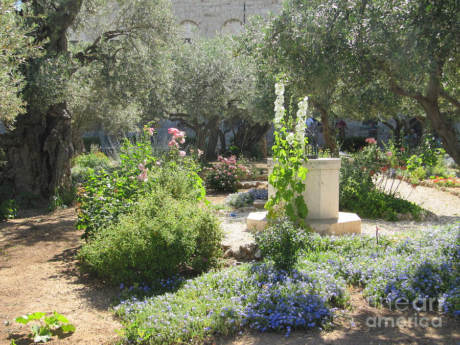 Garden Gethsemane Photograph by Donna L Munro