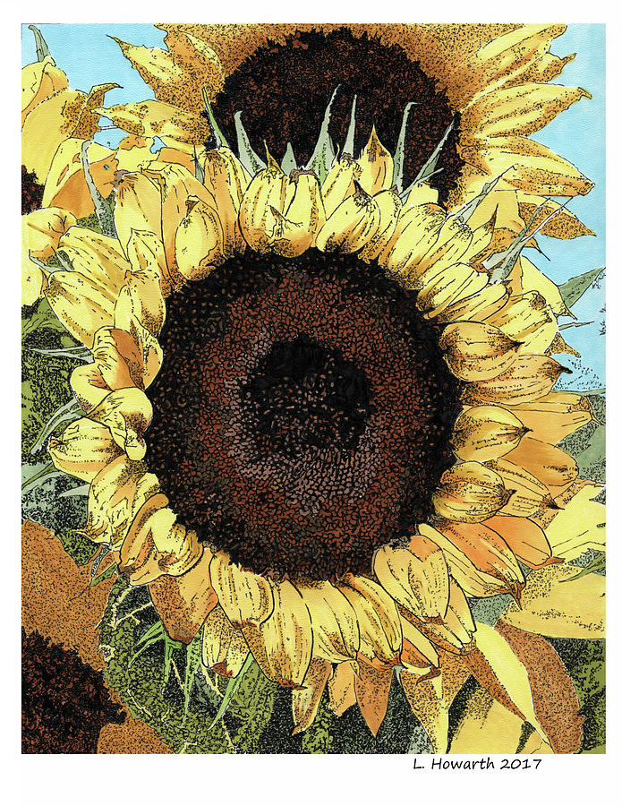 Garden Gold Drawing by Louise Howarth