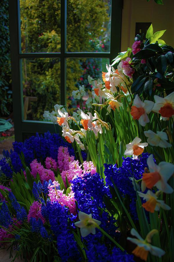 Garden house delight at Filoli Photograph by Patricia Dennis