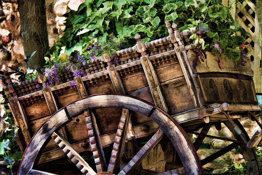Garden In A Wagon Photograph by Lana Trussell