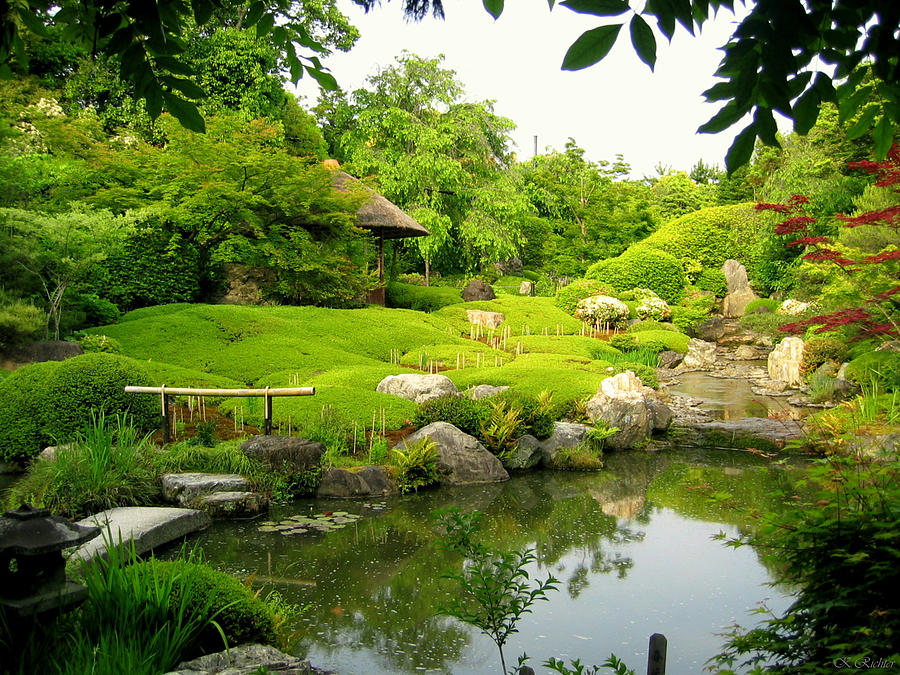 Garden In Kyoto Photograph by Keiko Richter