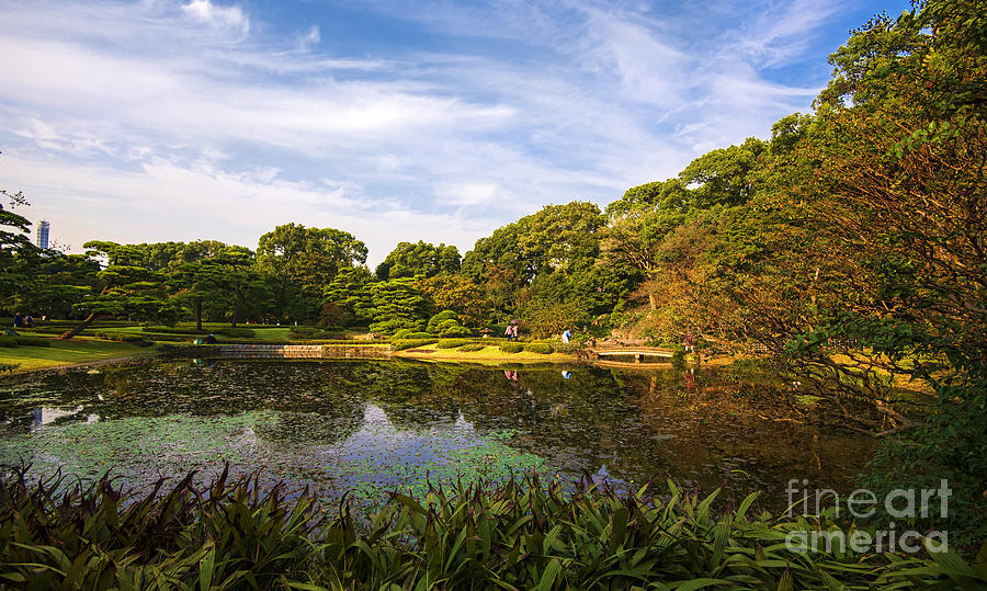 Garden in Tokyo Photograph by Pravine Chester