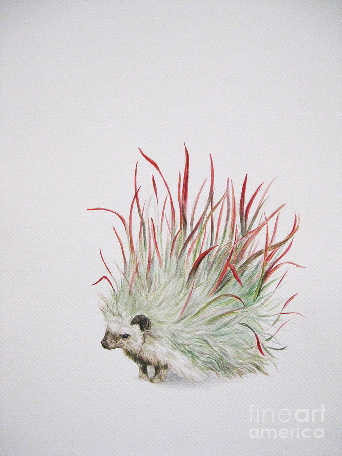 Animal Painting - Garden Invaders 02 by Sarah Mushong
