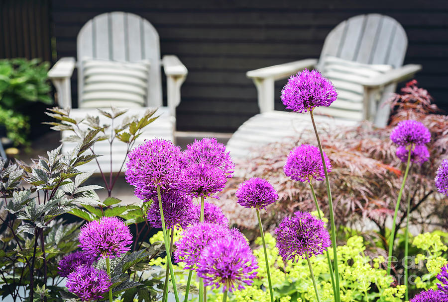 Garden lounge furniture Photograph by Sophie McAulay