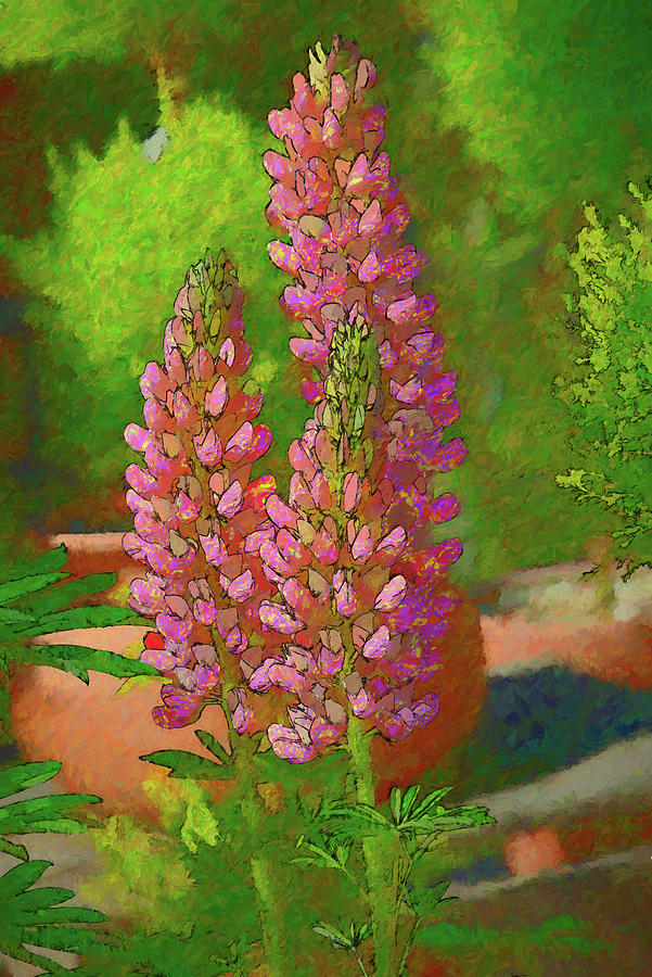 Spring Digital Art - Garden Lupine III Artistic I by Linda Brody
