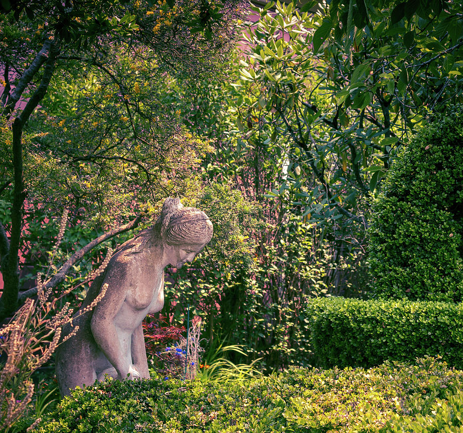Garden Nymph Photograph by Elaine Webster