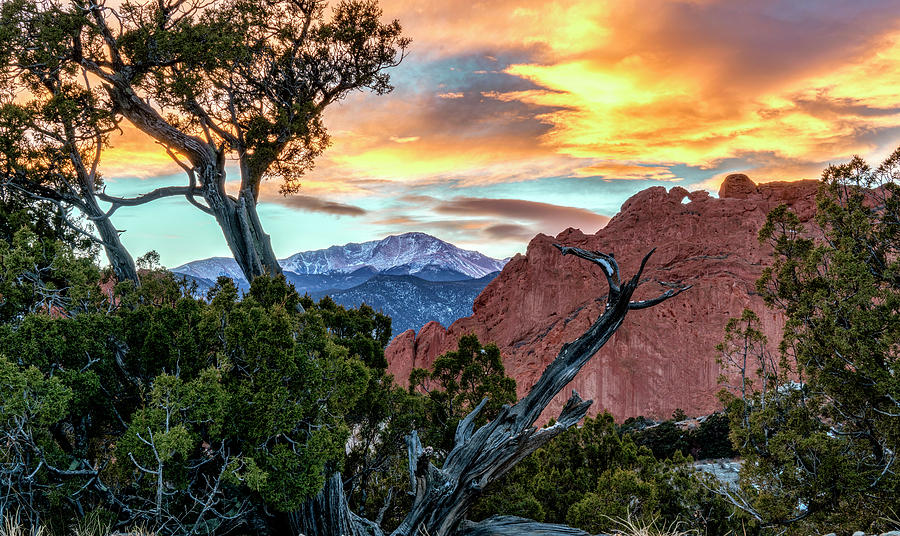 Garden of the Gods and the Twisted Tree at Sunset Photograph by David Soldano