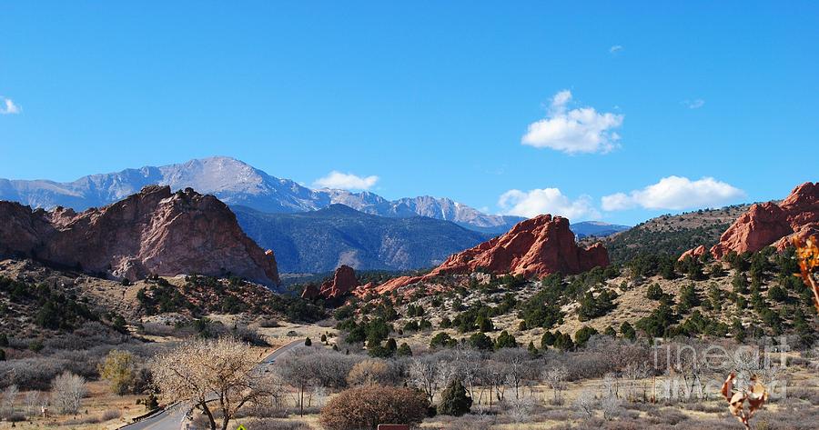 Garden of the Gods Photograph by Olena Lawson - Fine Art America