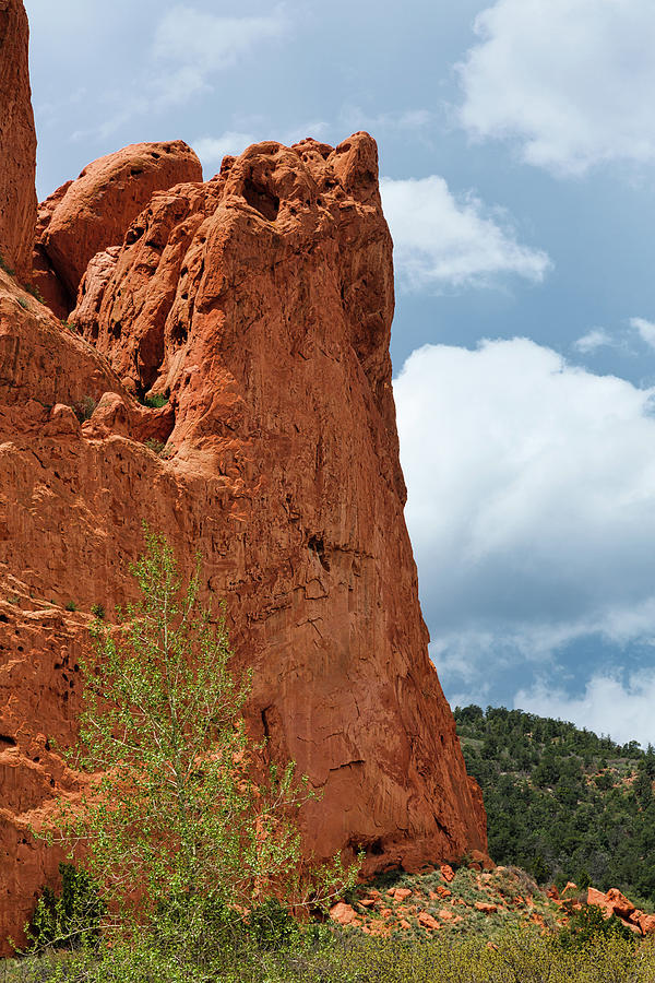 Garden of the Gods Rock Formation Photograph by Edward Moorhead | Fine