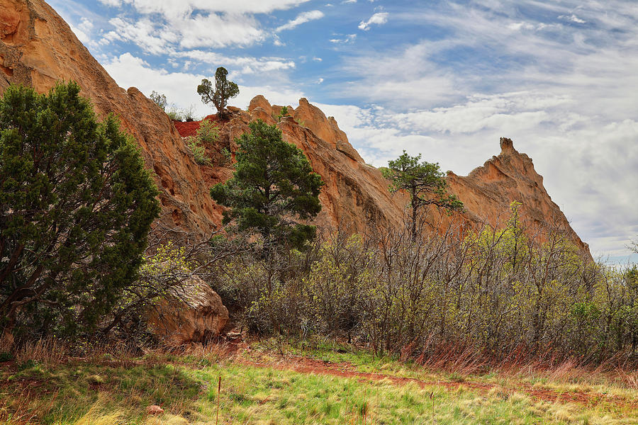 Garden Of The Gods Up Close And Personal Photograph by Lorraine Baum