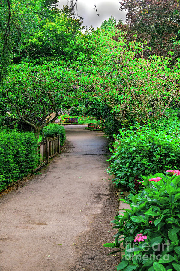 Garden Path Photograph by Elvis Vaughn