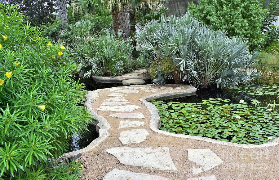 Garden Path by James Fannin Garden Path by James Fannin