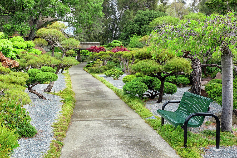 Garden Path Japanese Tea Garden Hayward California 2 Photograph By