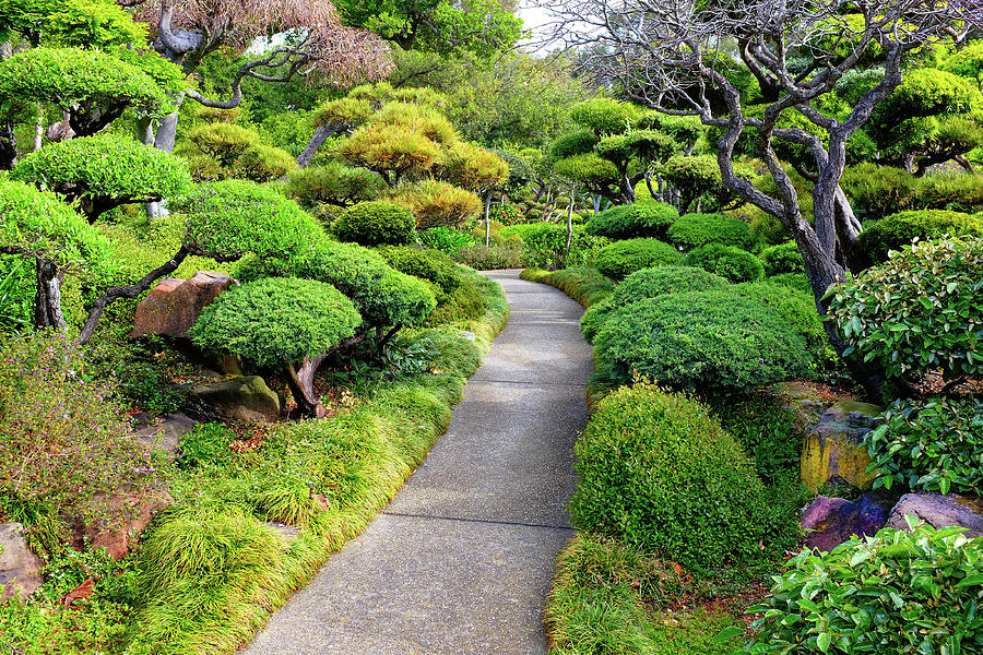 Garden Path Japanese Tea Garden Hayward California 3 Photograph By
