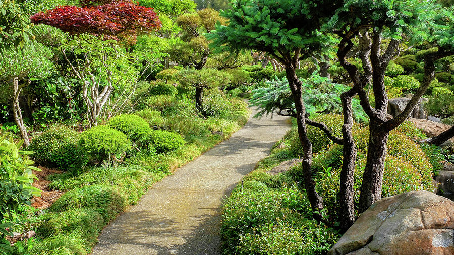 Garden Path Japanese Tea Garden Hayward California 4 Photograph By