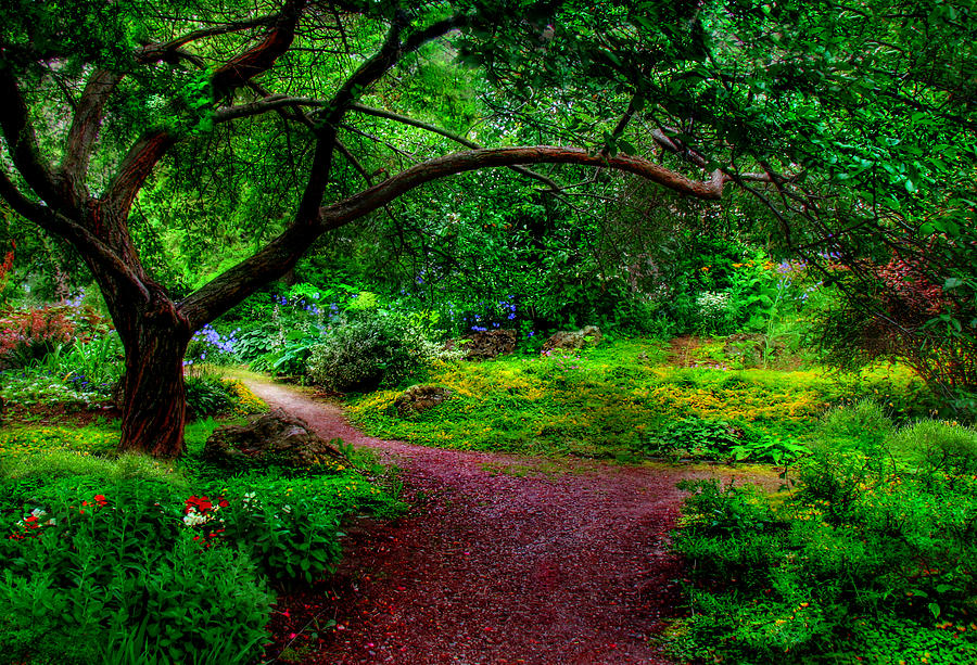 Garden Path Photograph by John Poon