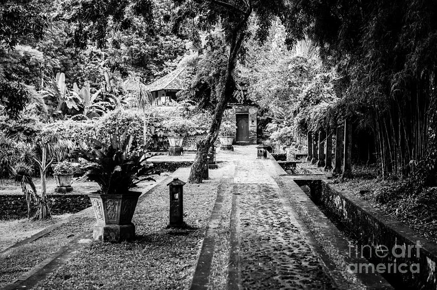 Bali Garden Path Photograph