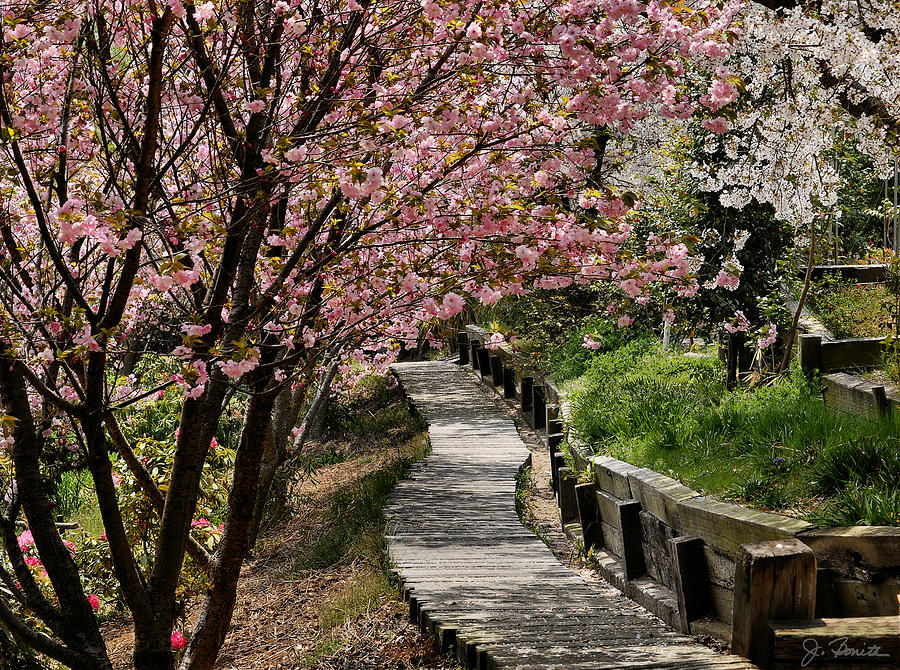 Garden Path No. 2 Photograph by Joe Bonita