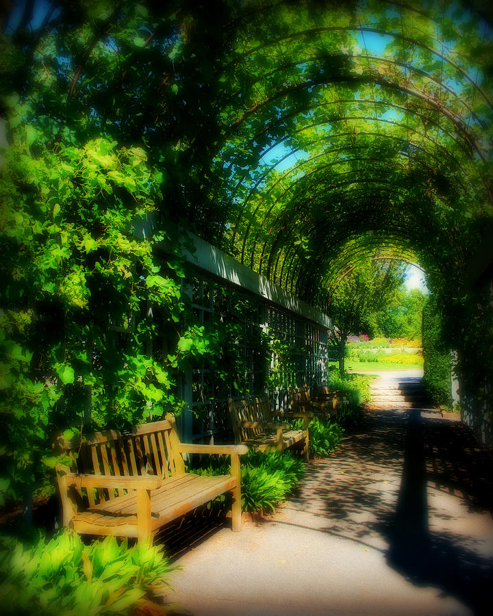 Garden path Photograph by Perry Webster