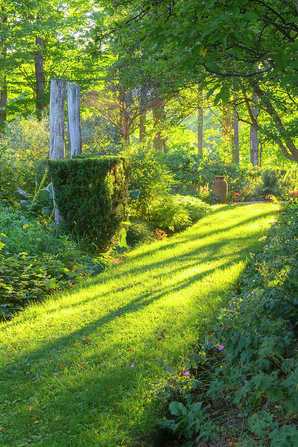 Garden Path Photograph by Tom Singleton