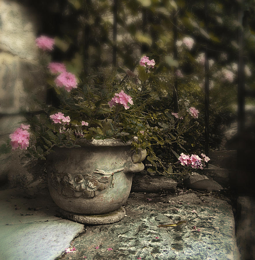 Flowers Photograph - Garden Planter by Jessica Jenney.