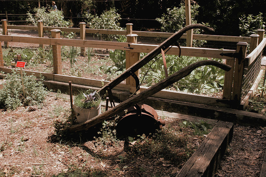 Summer Photograph - Garden Plow by Cathy Harper