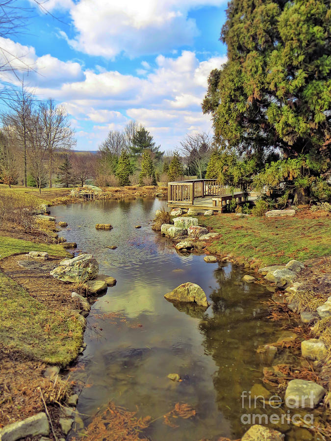 Garden Pond In Spring Photograph