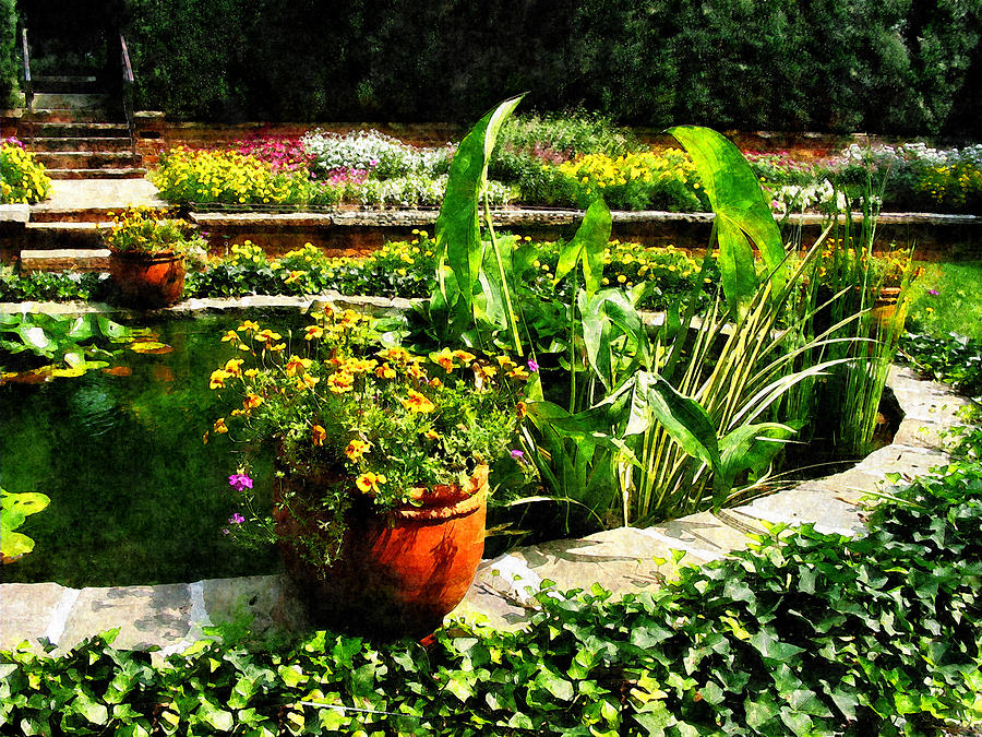 Garden Photograph - Garden Pond by Susan Savad