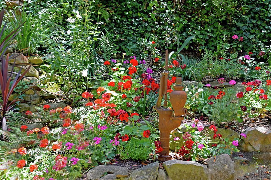 Garden Pump Cold Springs Tavern Photograph by Floyd Snyder