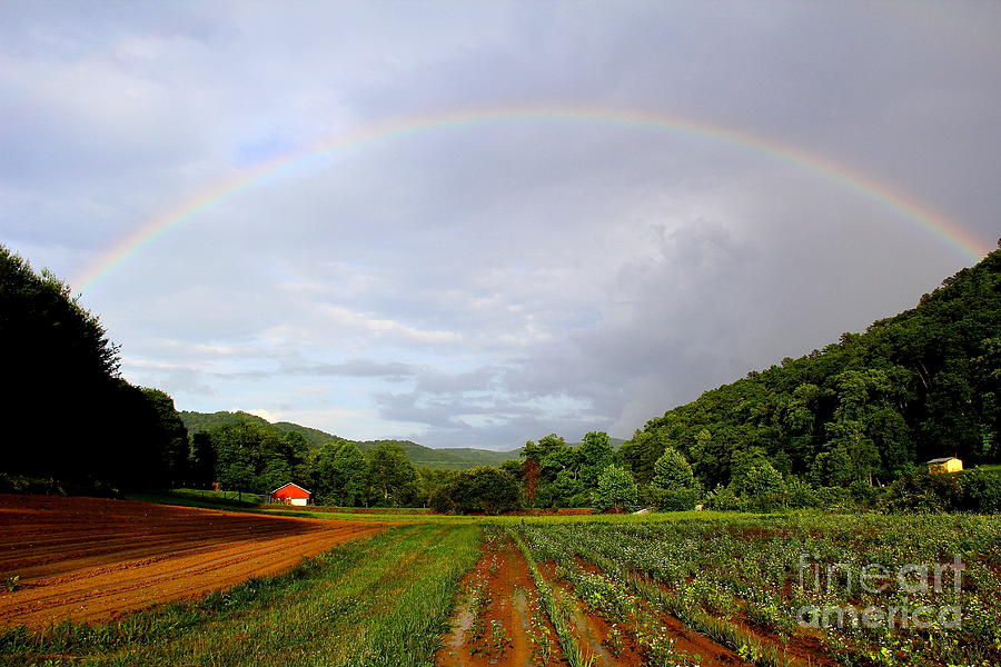 Garden Rainbow Photograph by Allen Nice-Webb
