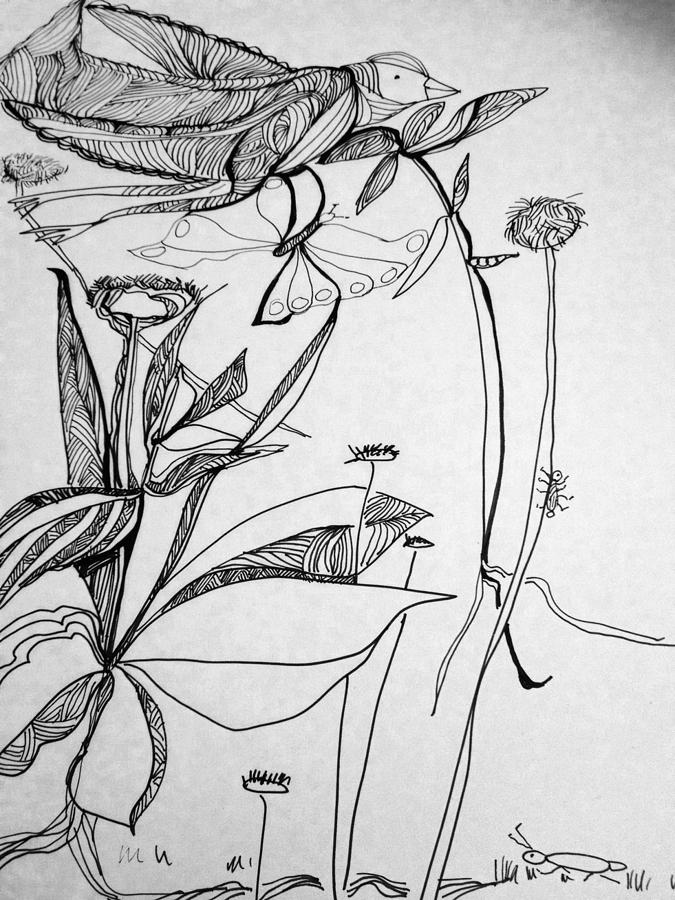 Garden Drawing by Rosalinde Reece