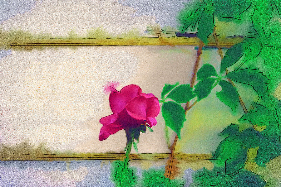 Rose Digital Art - Garden Rose by Holly Ethan