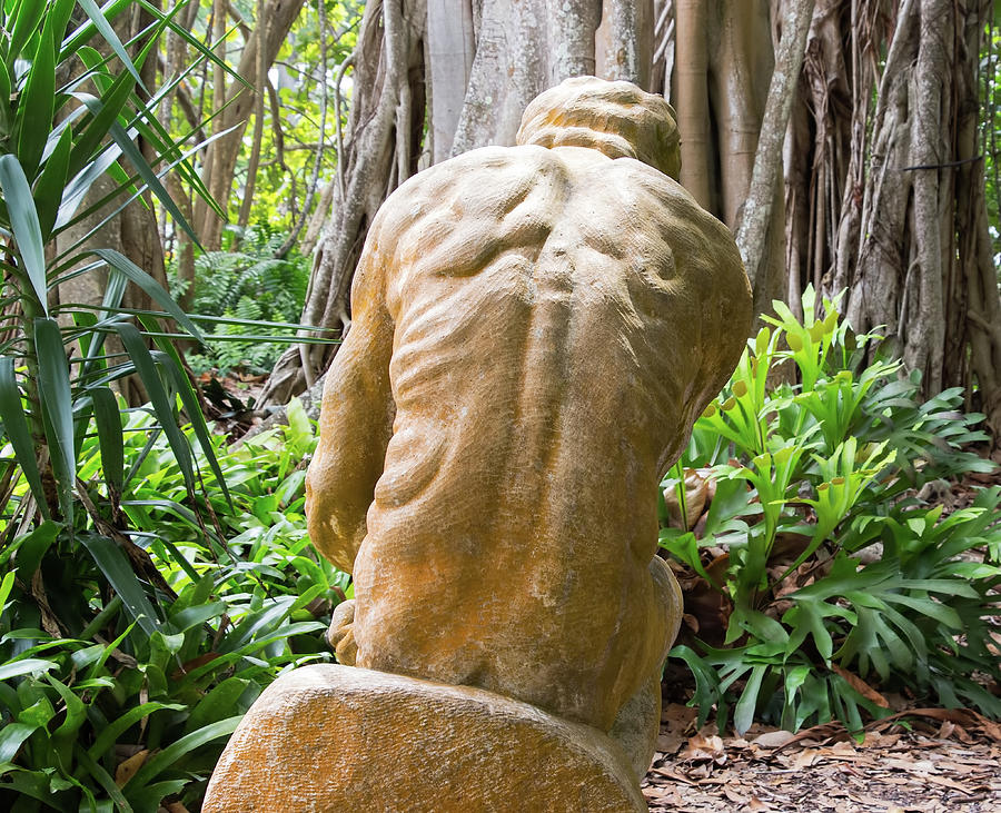 Garden Sculpture 1 Photograph by Richard Goldman
