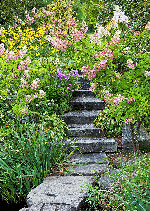 Garden Stairway Photograph by Alan L Graham