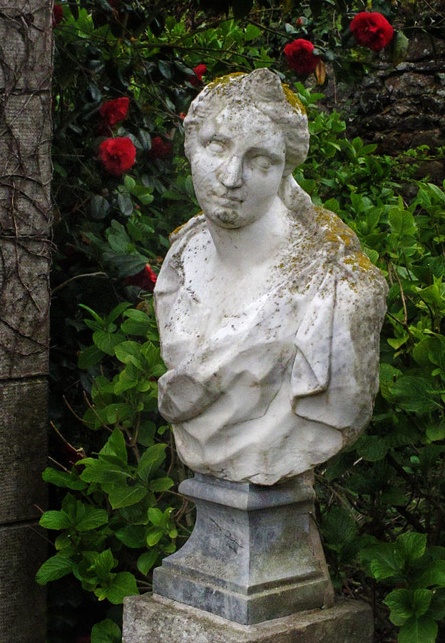 Garden Statue Photograph by Dave Mills