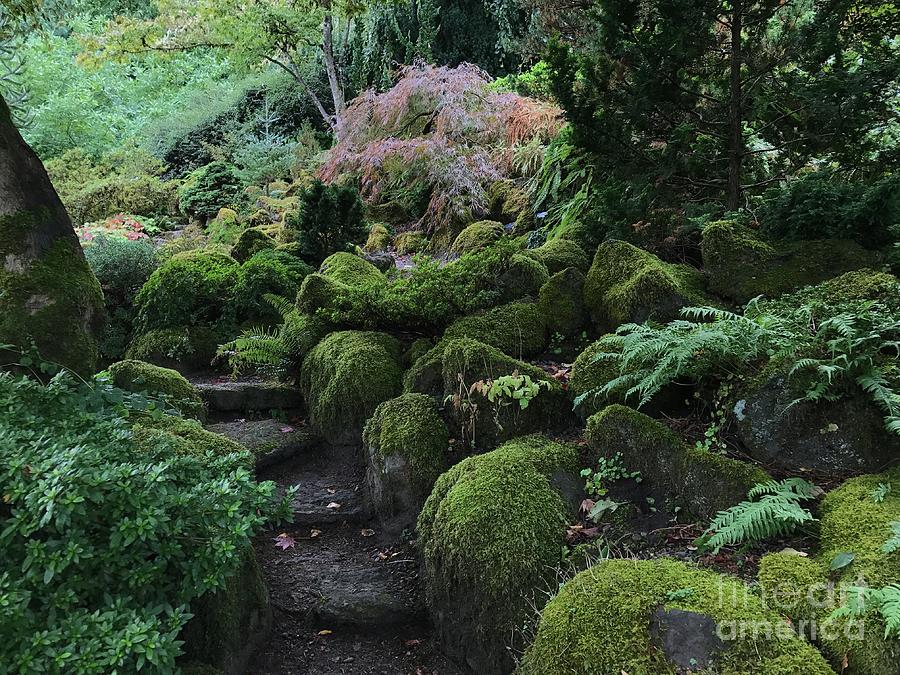 Garden Steps by Charlene Mitchell Garden Steps by Charlene Mitchell