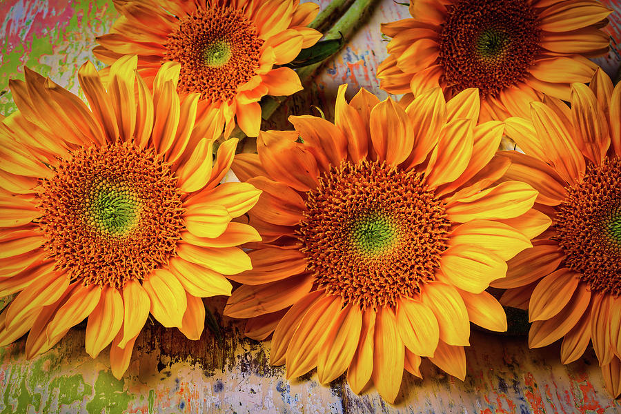 Still Life Photograph - Garden Sunflowers by Garry Gay