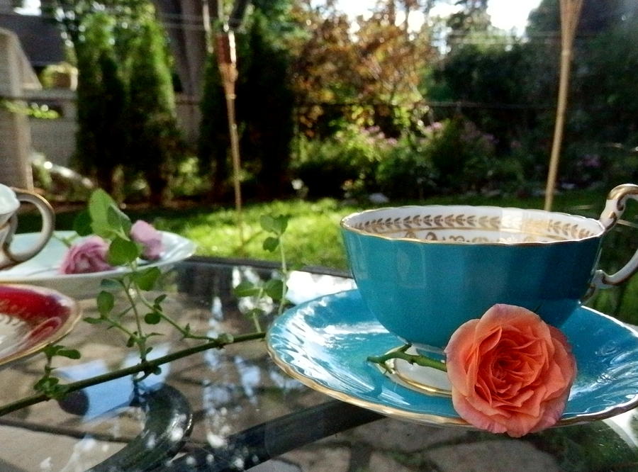Summer Photograph - Garden Tea Party by Mila Araujo